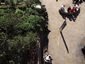 People walking by plants against building