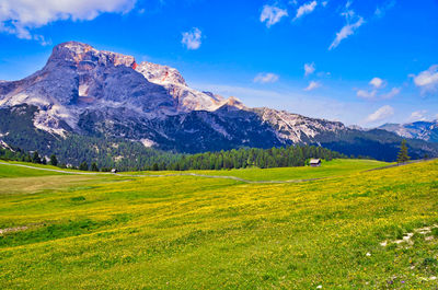 Scenic view of landscape and mountains against sky