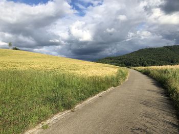 Road in the fields 