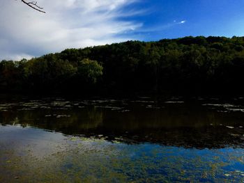 Scenic view of lake by trees in forest against sky