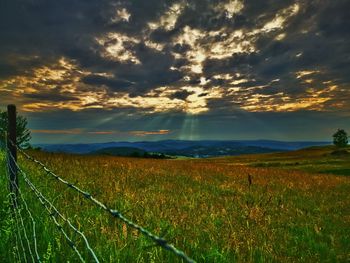 Scenic view of field against sky during sunset