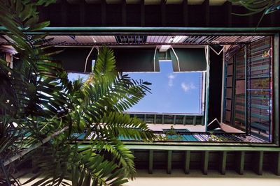 Low angle view of palm tree by building