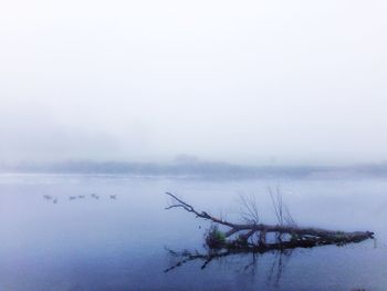 Scenic view of lake in foggy weather