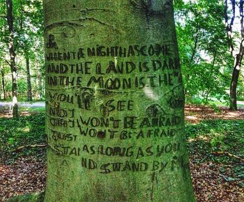 Tombstones on tree trunk