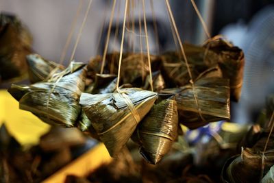 Close-up of dried leaves hanging on wood