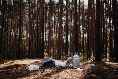 Plastic trash lies in the forest