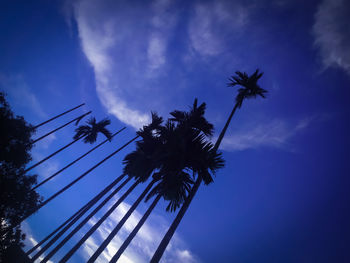 Low angle view of silhouette coconut palm tree against sky