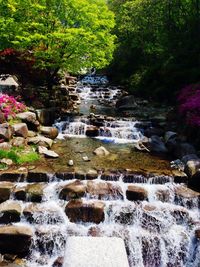 River flowing through rocks