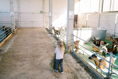 Rear view of people walking on steps