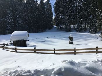 Snow covered field by trees