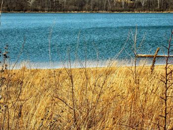 Scenic view of landscape