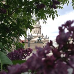 Franzosischer dom seen through trees and flowers