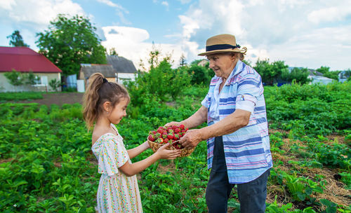 Farmer giving basket of strawberries to girl