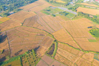 High angle view of agricultural field