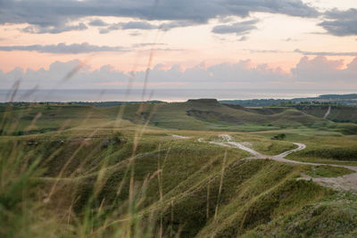 Morning glory in sumba