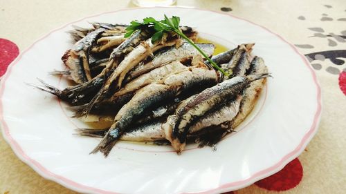 Close-up of food in plate