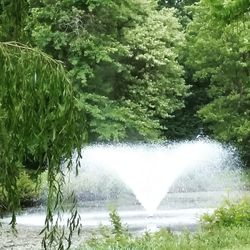 Scenic view of waterfall