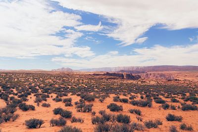 Scenic view of landscape against sky