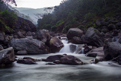 River flowing through rocks in forest