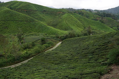 High angle view of rural landscape