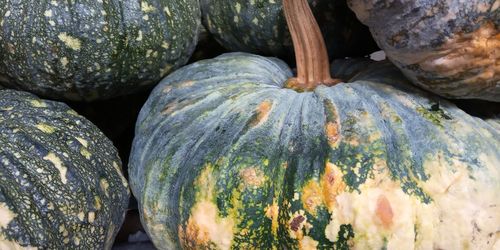 Full frame shot of pumpkins at market