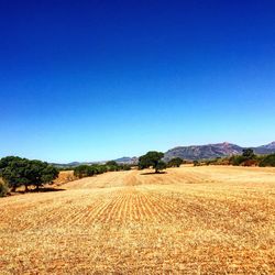 Scenic view of desert against clear blue sky