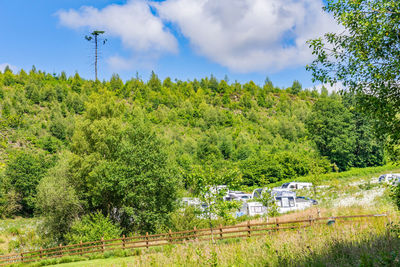 Plants and trees on field against sky