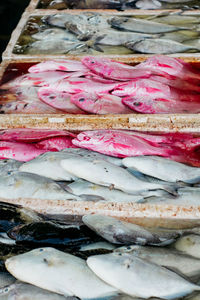 Close-up of fish for sale in market