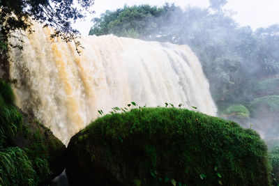Scenic view of waterfall