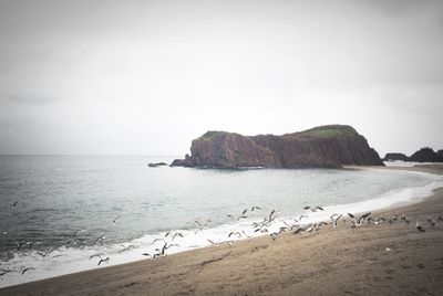 Scenic view of beach against sky
