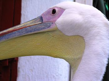 Close-up of white background