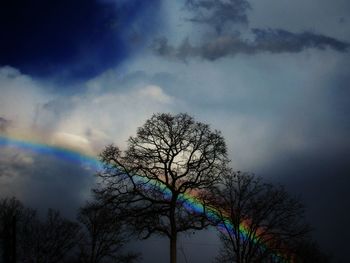 Low angle view of bare tree against rainbow in sky