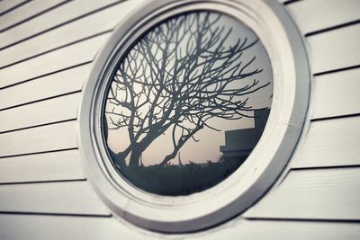 Close-up of plant seen through glass window