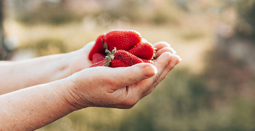 Cropped image of hand holding strawberry