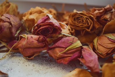 Dried Roses For Decoration Purpose Stock Photo - Download Image Now - Dead,  Rose - Flower, 2015 - iStock