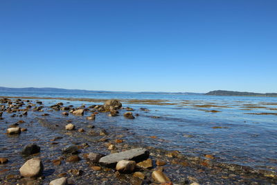 Scenic view of sea against clear blue sky