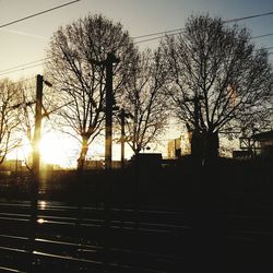 Silhouette trees against sky during sunset