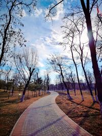 Empty road along bare trees against sky