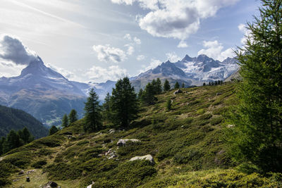 Scenic view of forest and mountains against sky