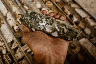 Close-up of man holding iron ore