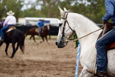 Men riding horses on land