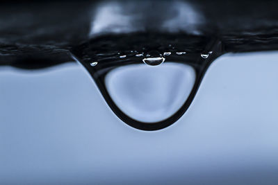 Close-up of water drop on leaf