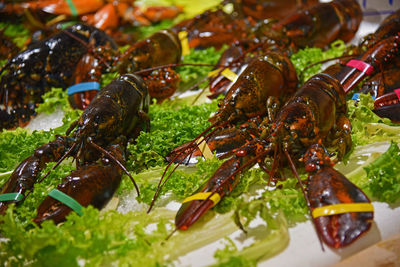 High angle view of food in plate