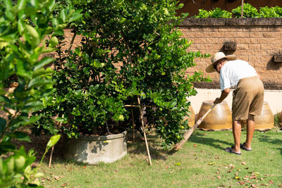 Rear view of man standing by plants in yard