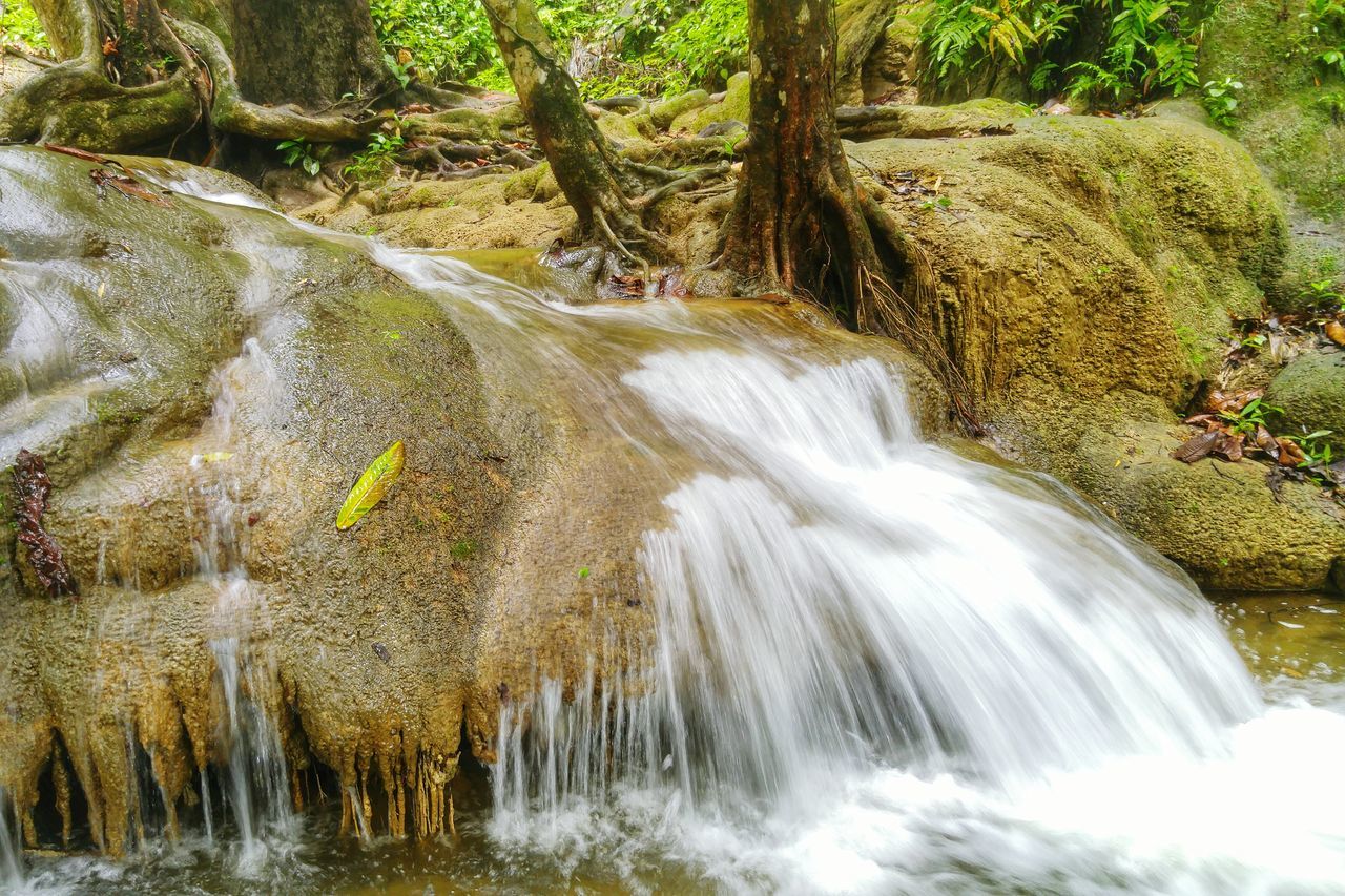 water, waterfall, motion, flowing water, long exposure, flowing, tree, forest, beauty in nature, splashing, nature, rock - object, scenics, blurred motion, waterfront, stream, idyllic, river, day, environment