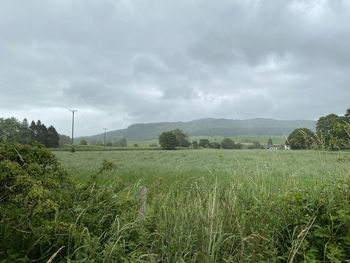 Heavy rain, sweeping over the fields. meadows, and crookrise forest near, skipton, yorkshire, uk