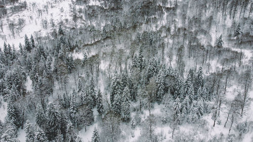 Full frame shot of snow covered land