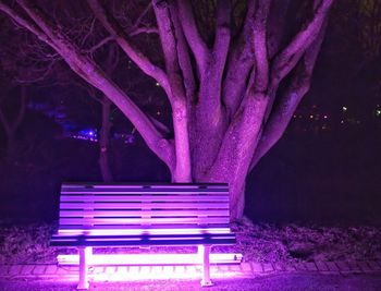 Empty bench in park at night