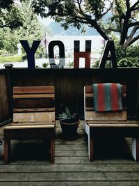 Close-up of tree trunk