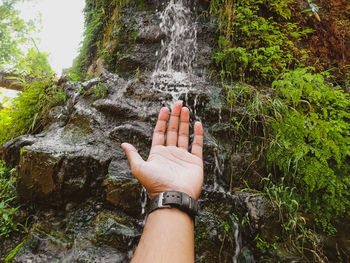 Low angle view of hand against trees in forest